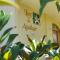 Luz de Azahar Bed and Breakfast