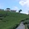 Youlin Homestay - Meishan