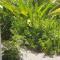 Les cottages de roseau