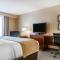 Comfort Inn & Suites Sturbridge-Brimfield