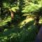 The Ferns Hideaway