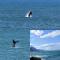 The Sun,Whales and Waves seafront apartment - Hermanus