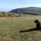 Yr Wyddfa Bell Tent - Pen Cefn Farm, Abergele, Conwy - 阿贝尔格莱