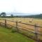 L'Herbe aux Vaches photo 8