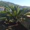 Bed & Breakfast Lujocanda