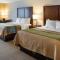 Comfort Inn Duluth West