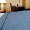 Econo Lodge Inn & Suites