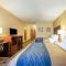 Comfort Inn at Royal Blue
