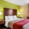 Comfort Inn St Petersburg North