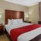 Comfort Inn St Petersburg North