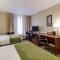 Comfort Inn St Petersburg North