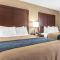 Comfort Inn Indianapolis North - Carmel