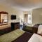 Quality Inn & Suites Irving DFW Airport South