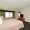 Best Western Park Oasis Inn