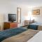 Comfort Inn Downtown - University Area