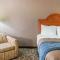 Comfort Inn Downtown - University Area