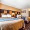 Comfort Inn Ballard-Roosevelt
