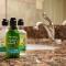 Best Western Acadia Park Inn