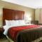 Comfort Inn & Suites Leeds I-20