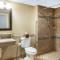 Comfort Inn Auburn-Worcester