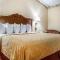 Maine Evergreen Hotel, Ascend Hotel Collection