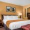 Comfort Inn & Suites Near Burke Mountain
