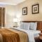 Comfort Inn & Suites Wilkes Barre - Arena
