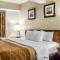 Comfort Inn & Suites Wilkes Barre - Arena