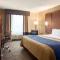 Comfort Inn & Suites Presidential
