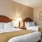 Comfort Inn & Suites - Pittsburgh North