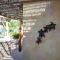 Villa Estrella de Mar - Oceanfront Properties