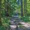 Mysty Mountain Cabin on River Near Stevens Pass! - Skykomish