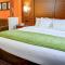 Comfort Suites Stevensville - St Joseph