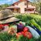 Farm Stay Peternelj - 伊利尔斯卡比斯特里察