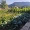 Eco Guest House Meghradzor