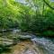 Creekside Cabin with Hot Tub, Mtn Views and More! - 米纳勒尔布拉夫