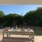 Endless Summer Surf House