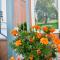 Studios Pantelis Corfu - Adults Only