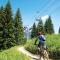 Les 4 Elements - Apt D104 - BO Immobilier- Châtel - Multipass 2025 offert - 沙泰勒