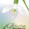 B&B Il Bucaneve