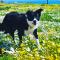 Stay at Bokkoms in Paternoster Self Catering Accommodation