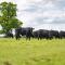 Great Ashley Farm Bed and Breakfast & Shepherds Huts