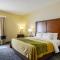 Comfort Inn Woodstock Shenandoah
