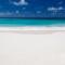 Sunny Isles Ocean Reserve Condo Apartments - 1BR #812
