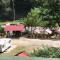 CABANUTE si CAMPING DRACULA