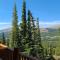 Fairplay Cabin with Wraparound Deck and Mountain Views - 费尔普莱