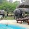 Africa Safari Selous Nyerere national park
