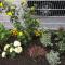 Feriendomizil Dornum Haus Willy mit Wintergarten und Wallbox
