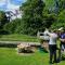 Waterford Castle Hotel & Golf Resort