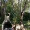 Camping La Loire Fleurie